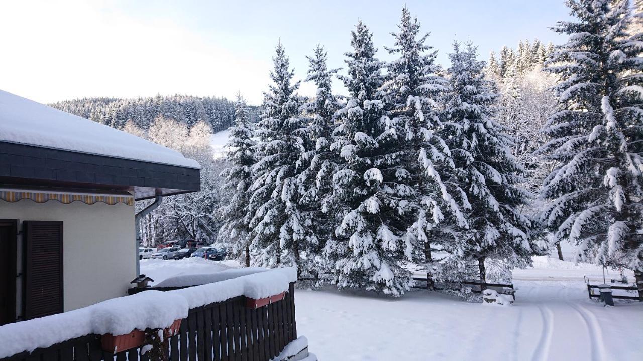 Am Kaltenbach - Spital Am Semmering, Stuhleck Екстериор снимка