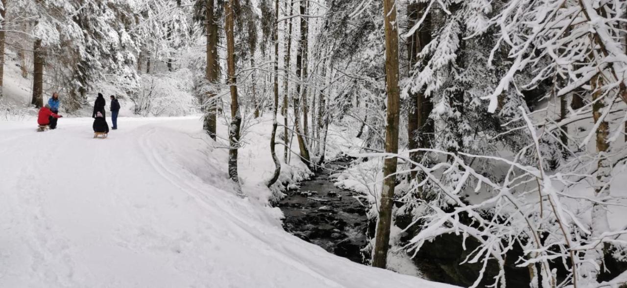 Am Kaltenbach - Spital Am Semmering, Stuhleck Екстериор снимка