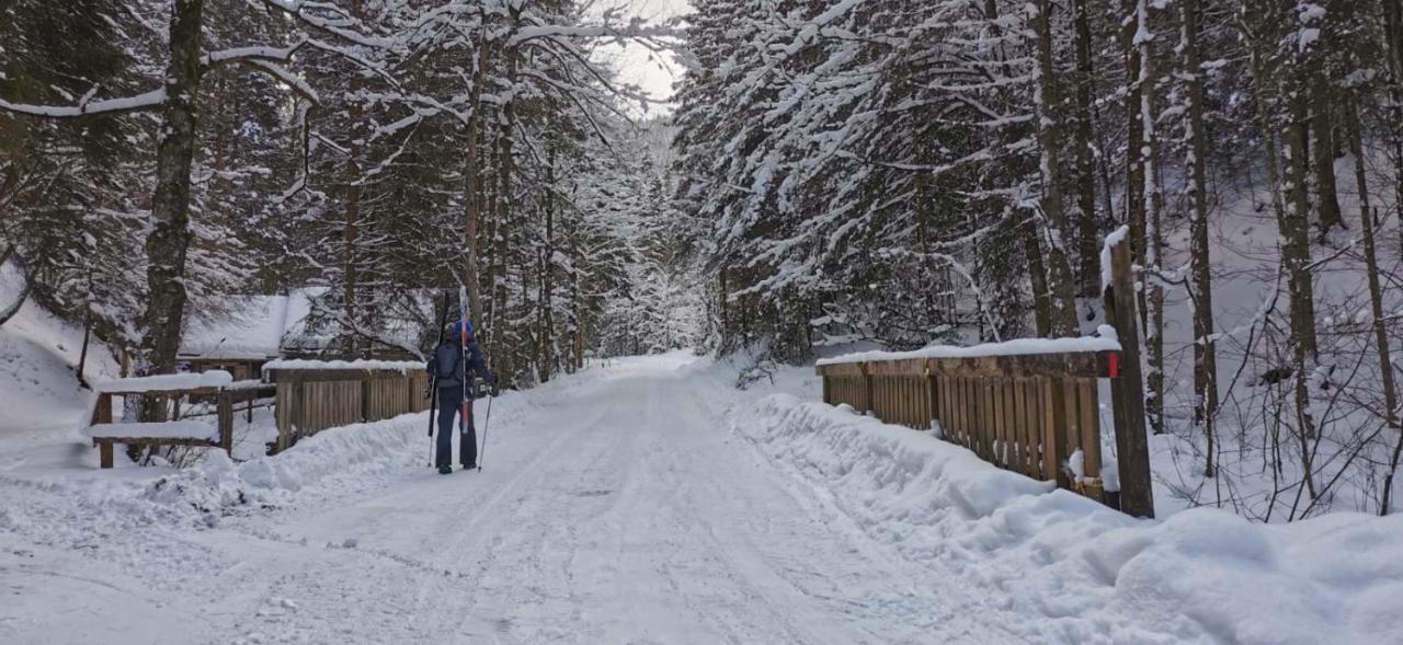 Am Kaltenbach - Spital Am Semmering, Stuhleck Екстериор снимка